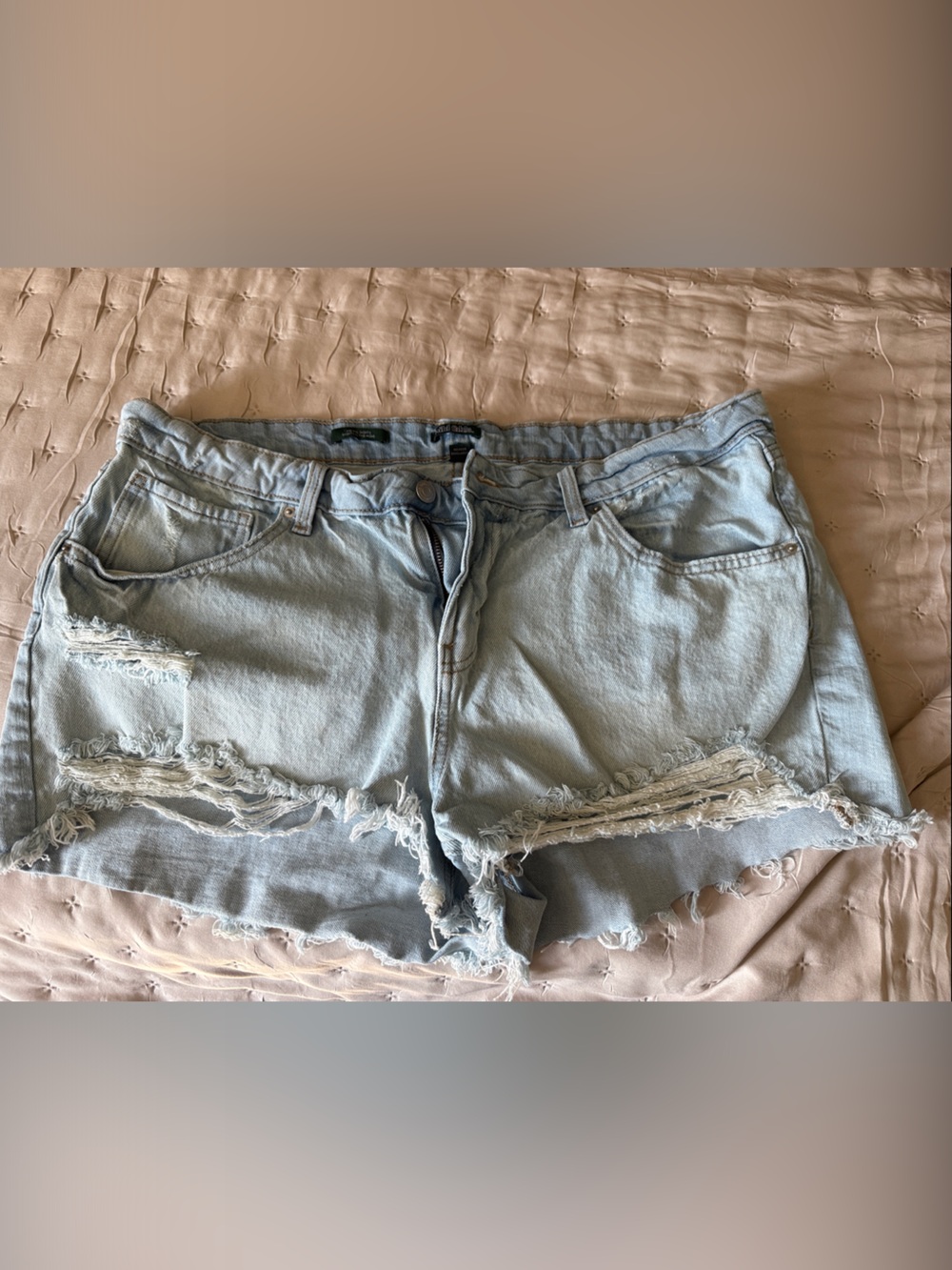 wild fable Pale Blue Ripped Denim Cutoff Shorts